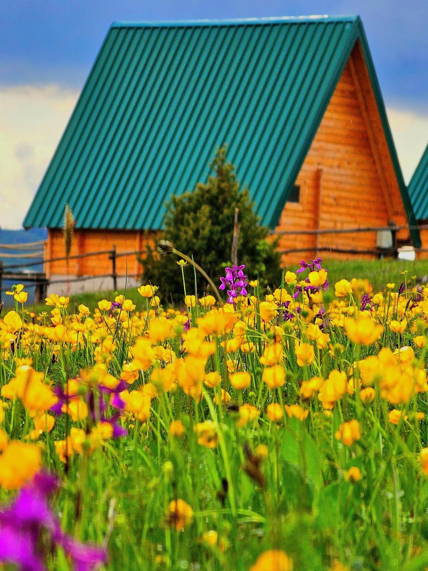 Ethno Village Molitva Holiday home